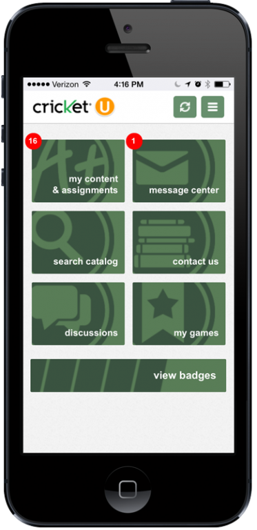 Cricket gaming menu