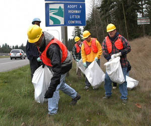 Volunteer trash pickup