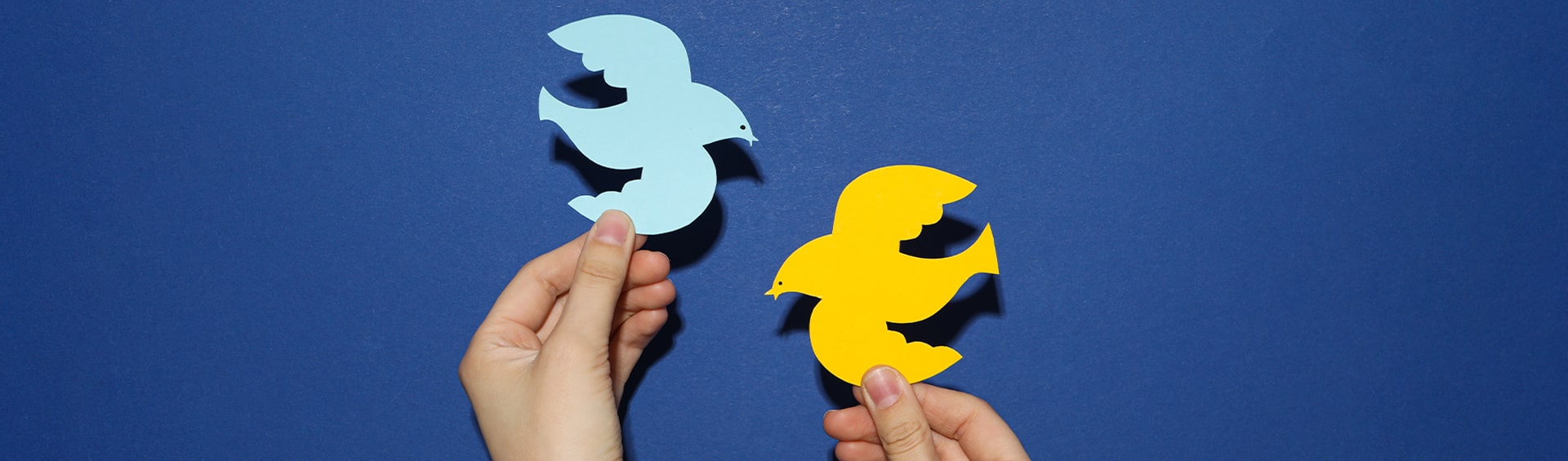Are Twitter and Vine Shrinking Our Attention Spans?