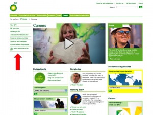BP Careers, November 2010