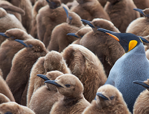 Seven leadership trends to focus on in 2024